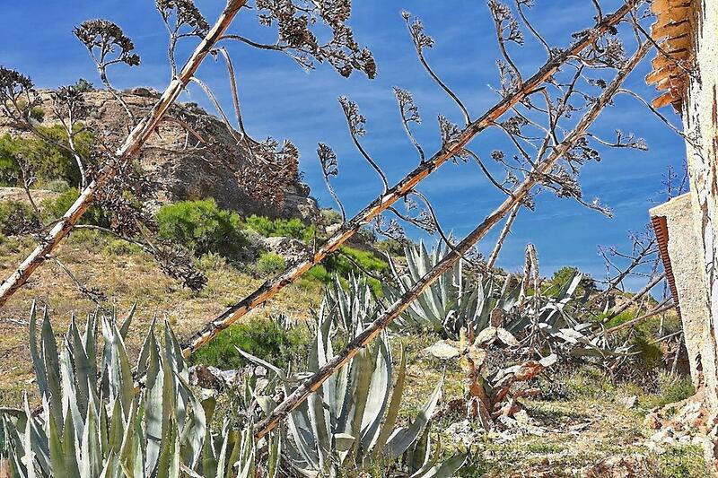 130-1431: Cortijo: Traditional Cottage for Sale in Albox, Almería