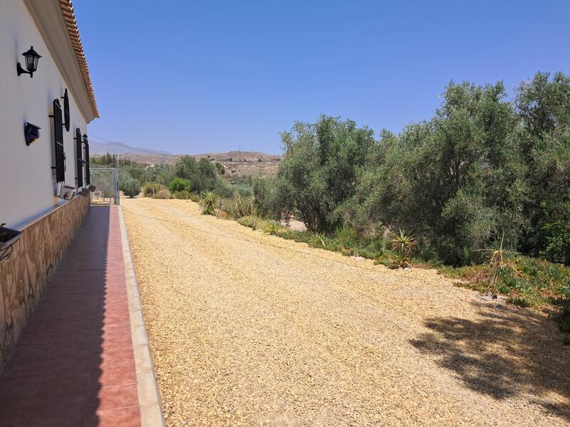 130-1448: Villa for Sale in Albox, Almería