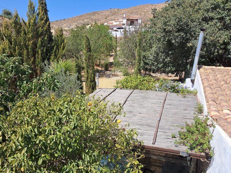 130-1456: Cortijo: Traditional Cottage for Sale in Arboleas, Almería