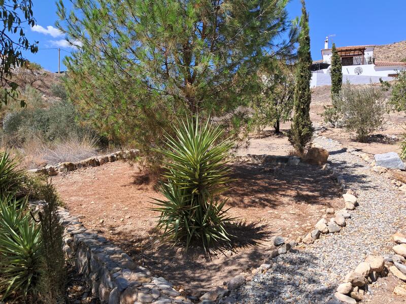 130-1456: Cortijo: Traditional Cottage for Sale in Arboleas, Almería