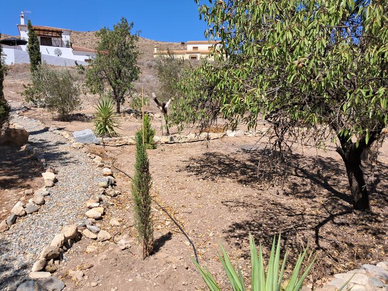 130-1456: Cortijo: Traditional Cottage for Sale in Arboleas, Almería