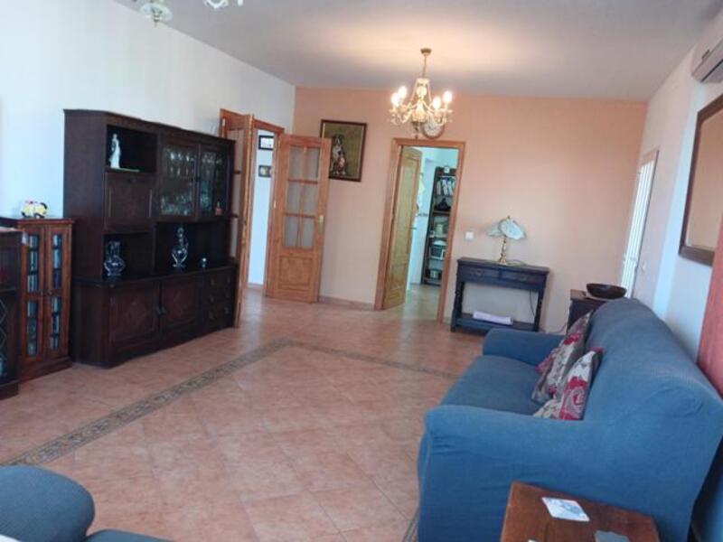 130-1472: Villa for Sale in Albox, Almería